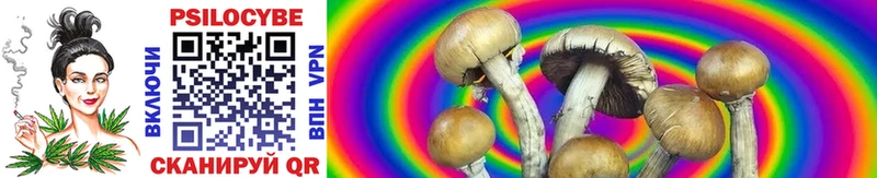 Купить закладки  Комсомольск  Галлюциногенные грибы MAGIC MUSHROOMS 